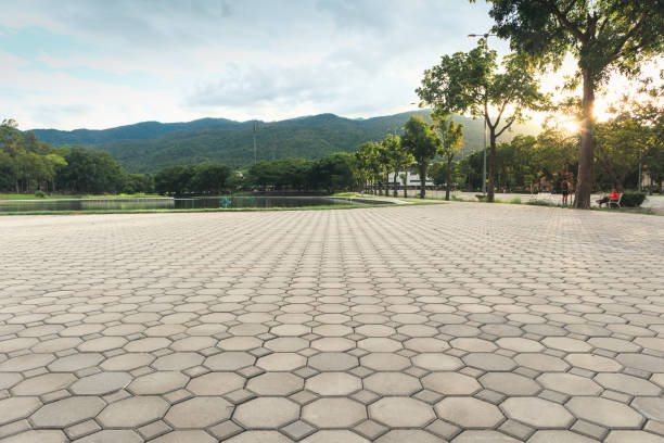 Best Residential Paver Driveway  in Mccamey, TX